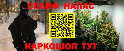 сатива Малоярославец
